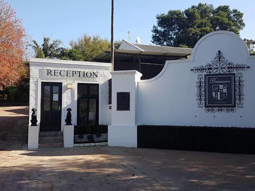 Brenaissance Wine & Stud Estate Ξενοδοχείο Στέλενμπος Εξωτερικό φωτογραφία